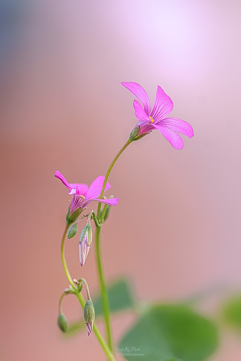 133_7146-53-st-c-s-Waiting for spring-2025-10.jpg