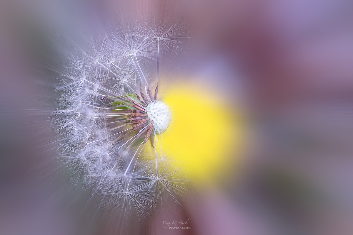 124_9877-83-st-s-The spring of the town-2023-8.jpg