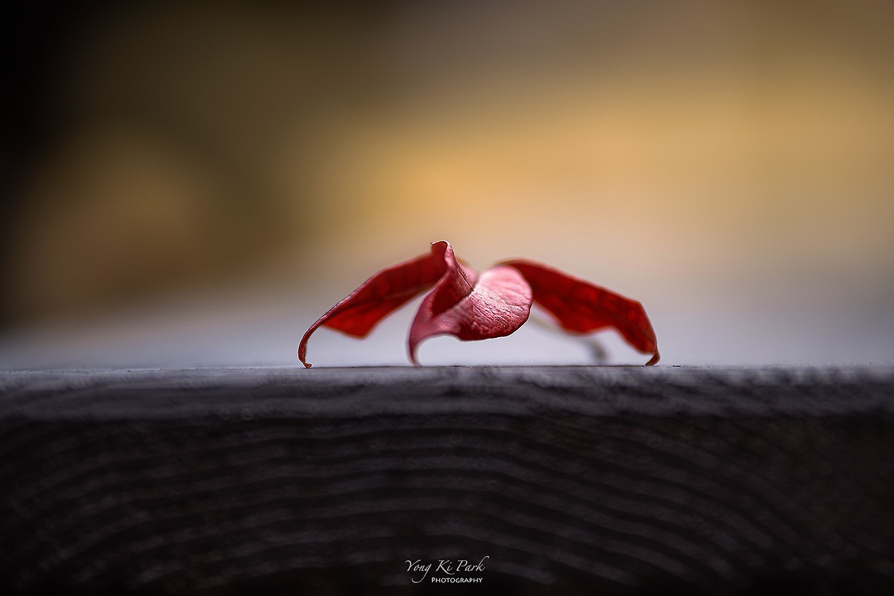 120_0813-s-Autumn 2021-2.jpg