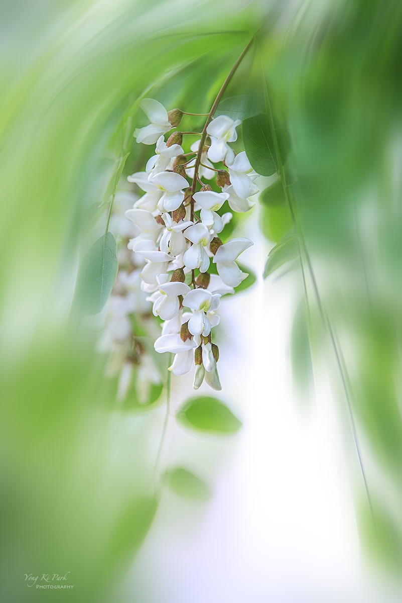 125_4717-F-m-s-The spring of the town-2023-9.jpg