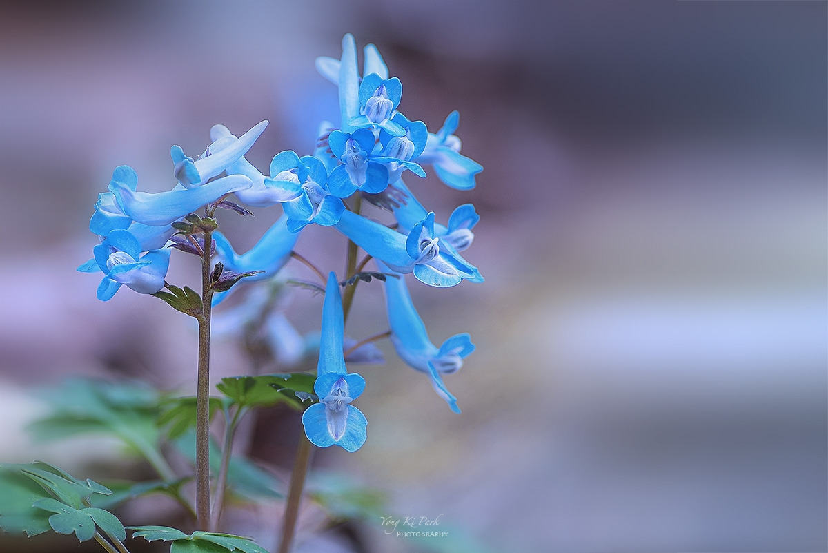 125_0635-0644-st-c-m-s-The spring there-2023-2.jpg