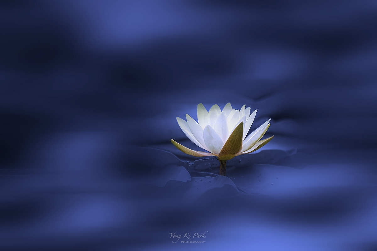 121_7080-s-Made in nature-5.jpg