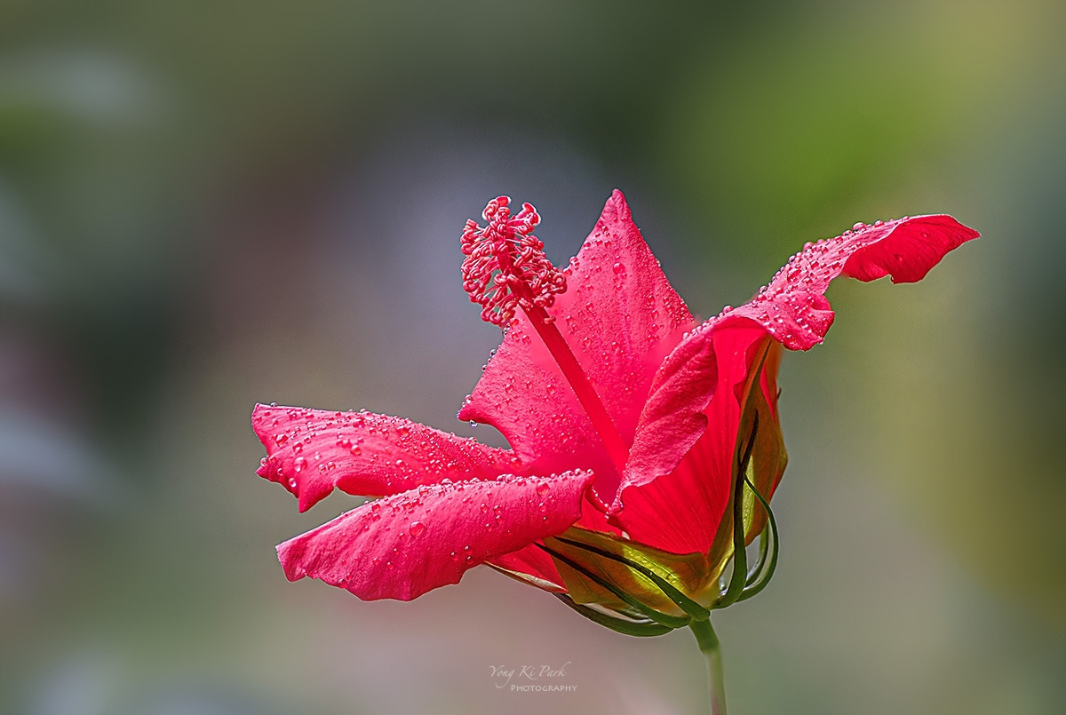 132_4112-20-st-s-A poem of autumn-2.jpg