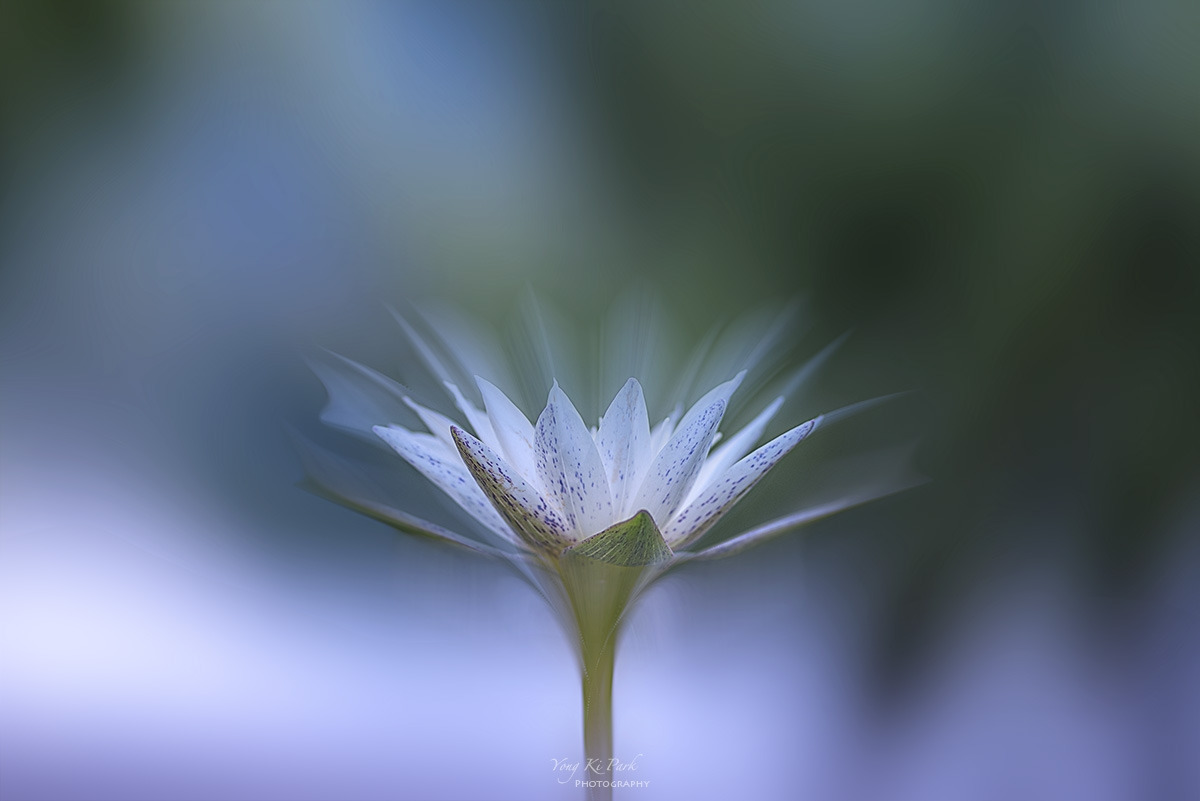 126_4803-F-m-2-s-2023 summer story-2-1.jpg