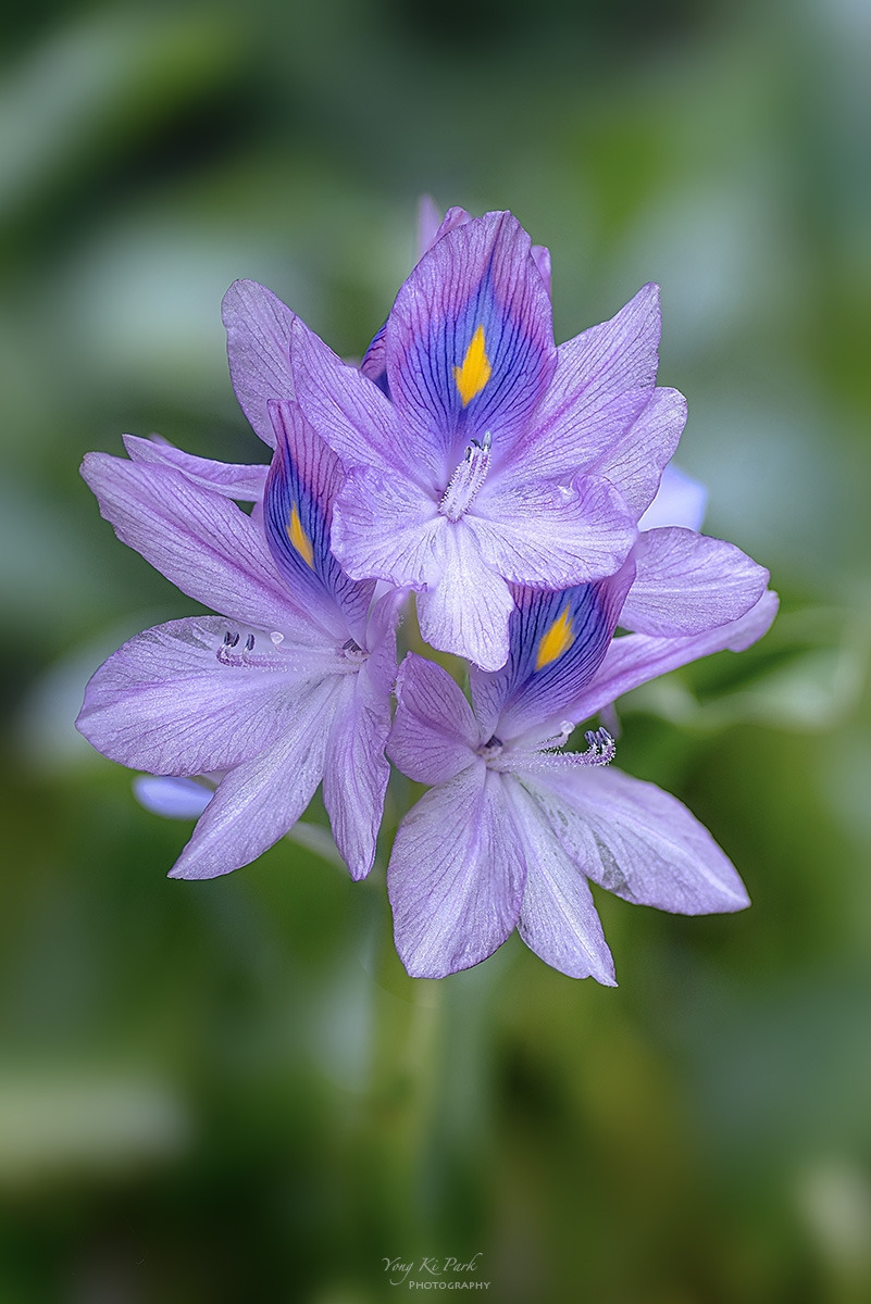 131_6433-39-st-s-Already September-6.jpg