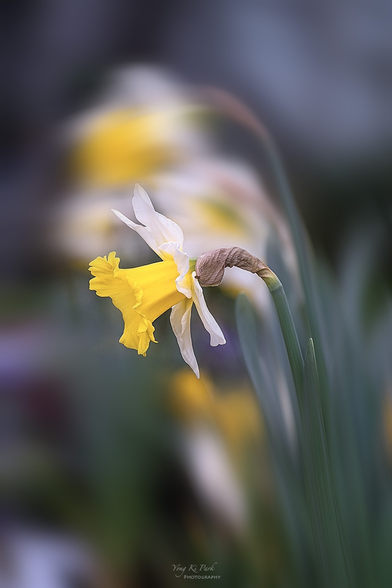 128_9294-98-st-m1-s-Spring spring 2024-13.jpg