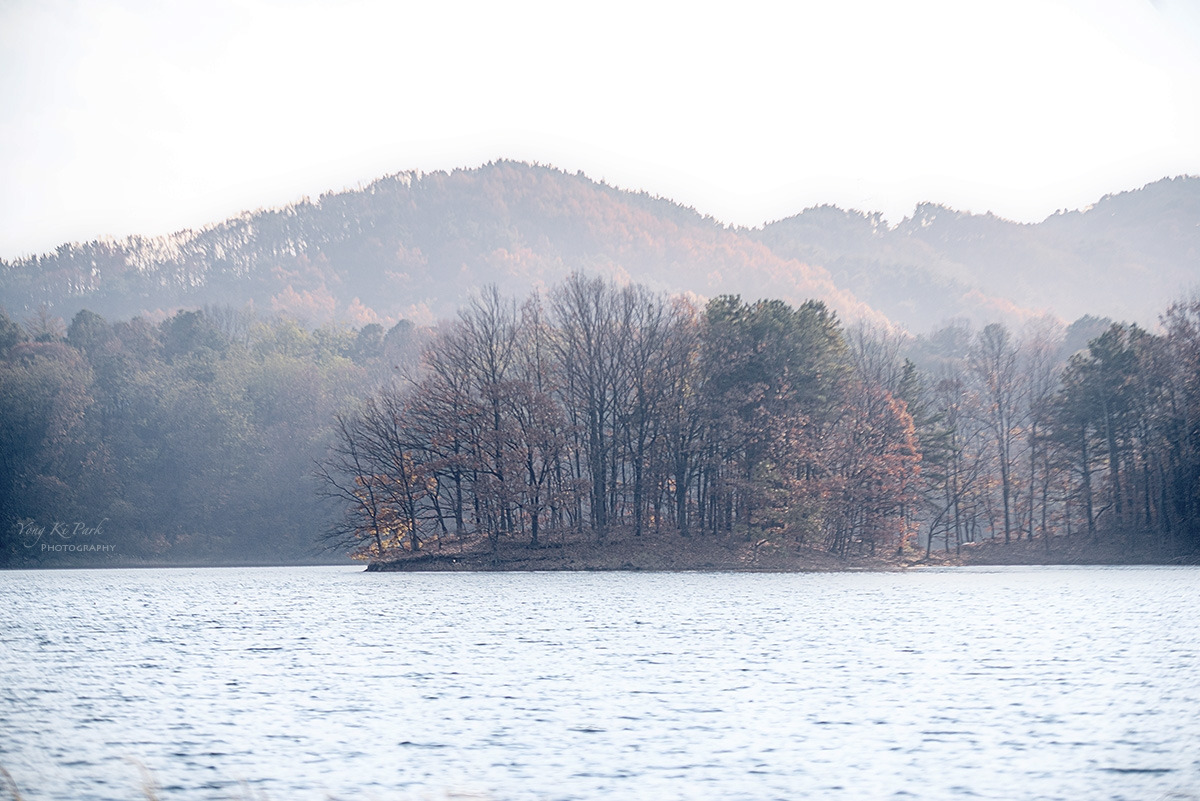 137_9856-F-s-Autumnal lyricism-17.jpg