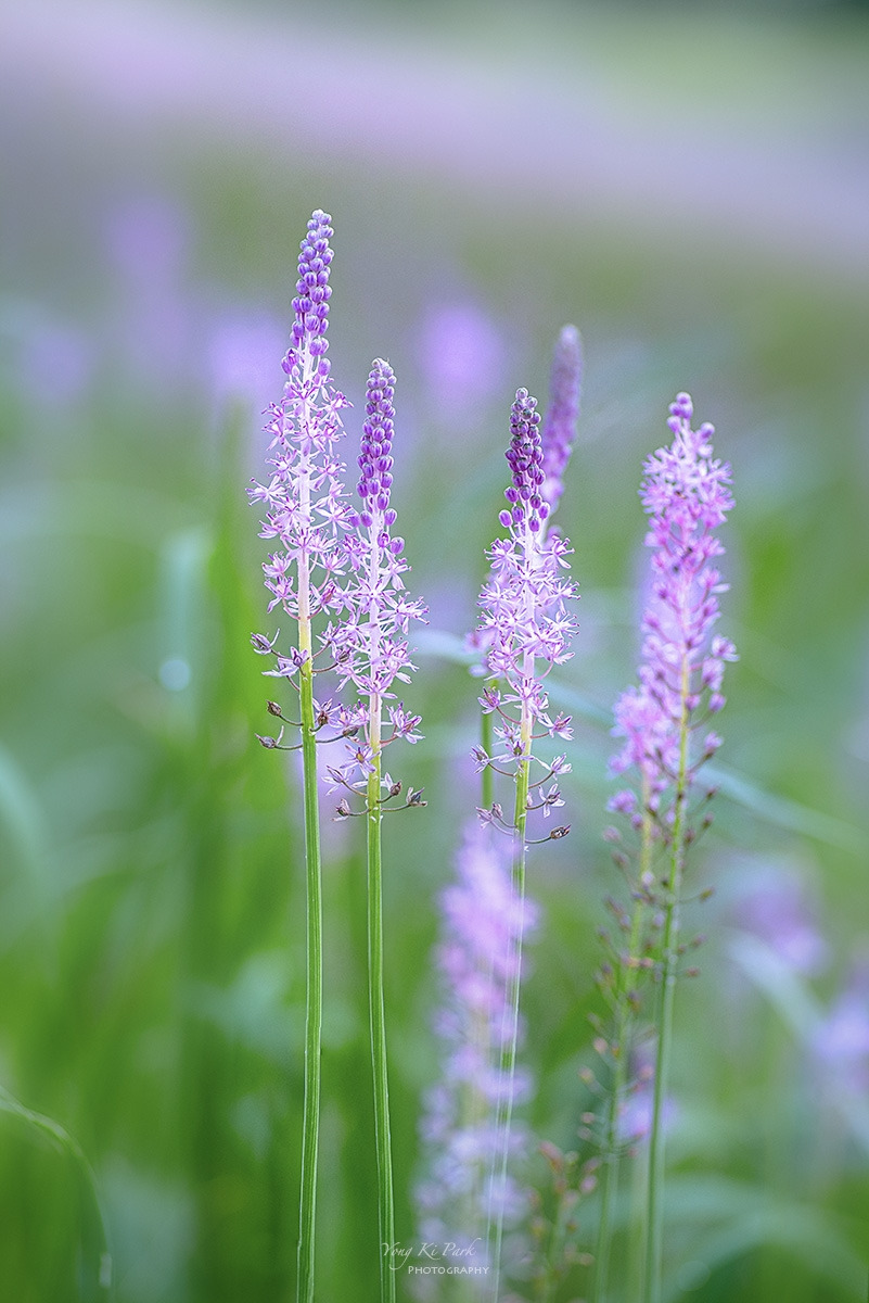 126_8789-93-st-s-End of summer 2023-1.jpg