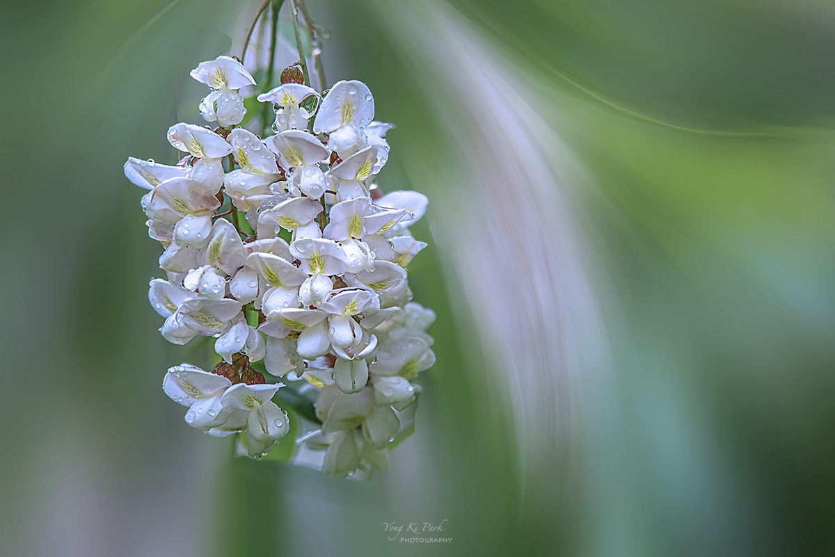 135_7192-95-st-m-oetic moment of spring 2025-2.jpg