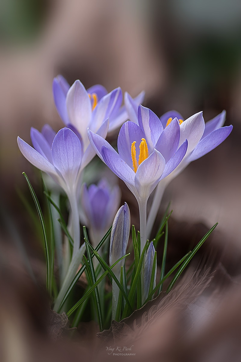 128_6625-32-st-m-2025보정-s-Waiting for spring-2025-15.jpg