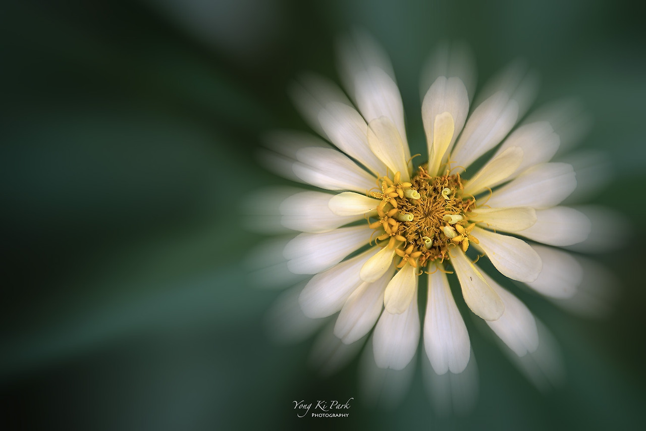 119_5419-m-s-Poetic moments of early autumn-1.jpg