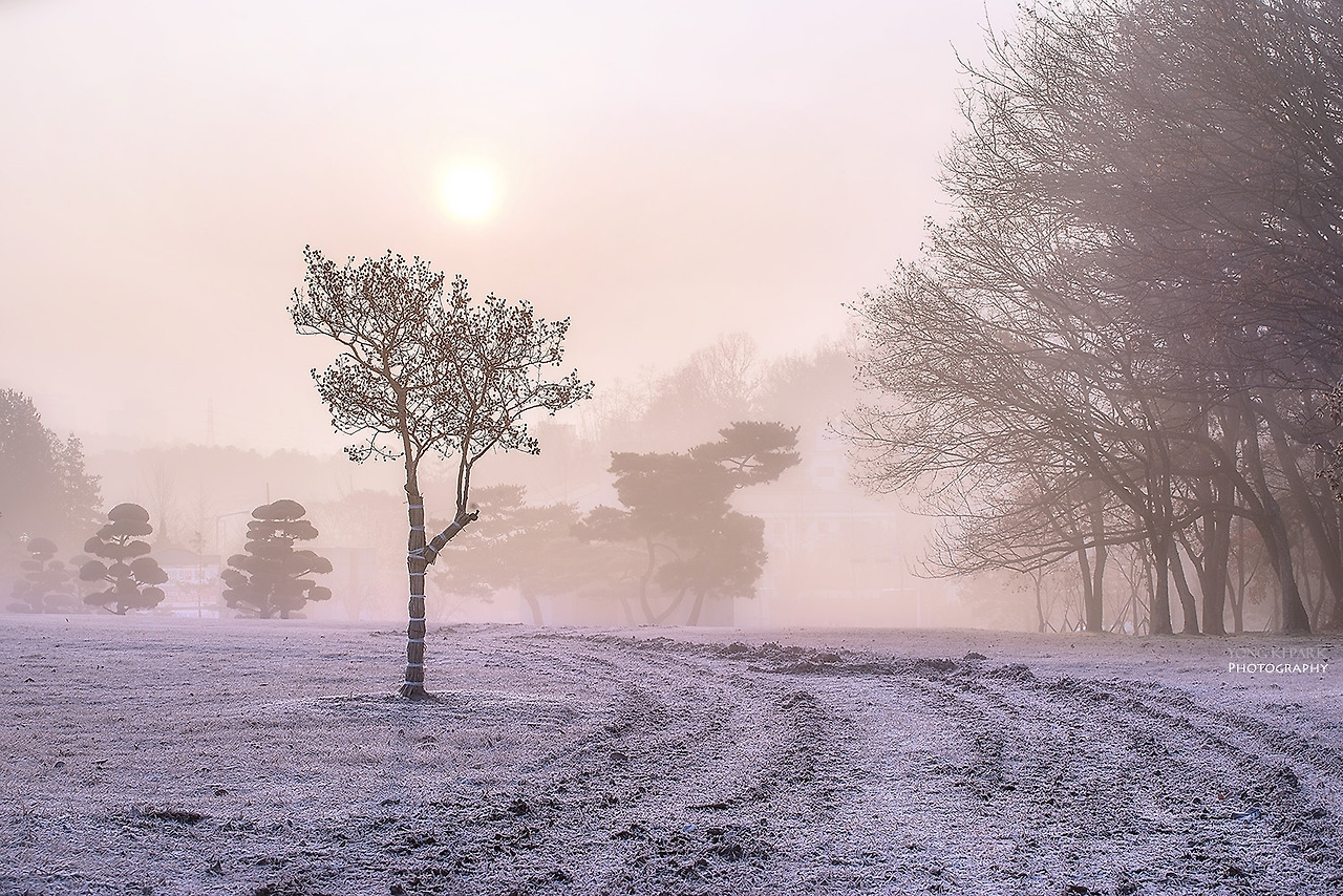 104_7587-s-Winter dream-1.jpg