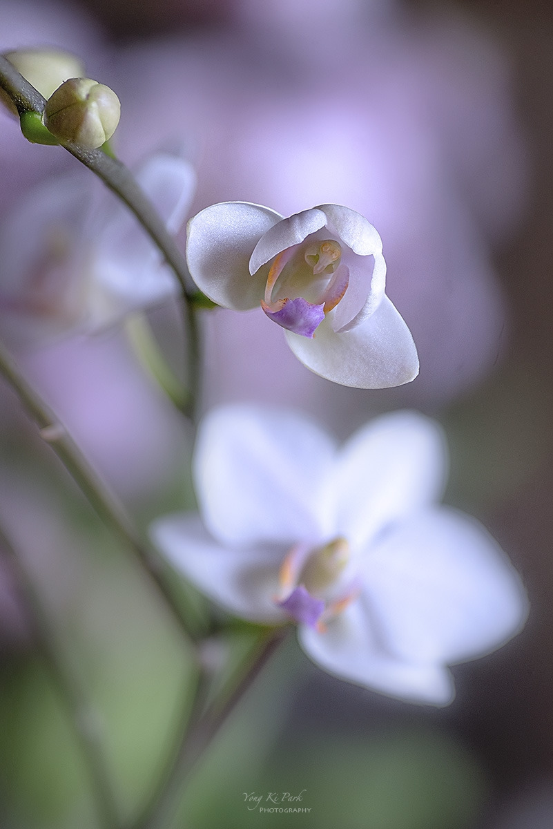 133_9102-11-st-s-Waiting for spring-2025-11..jpg