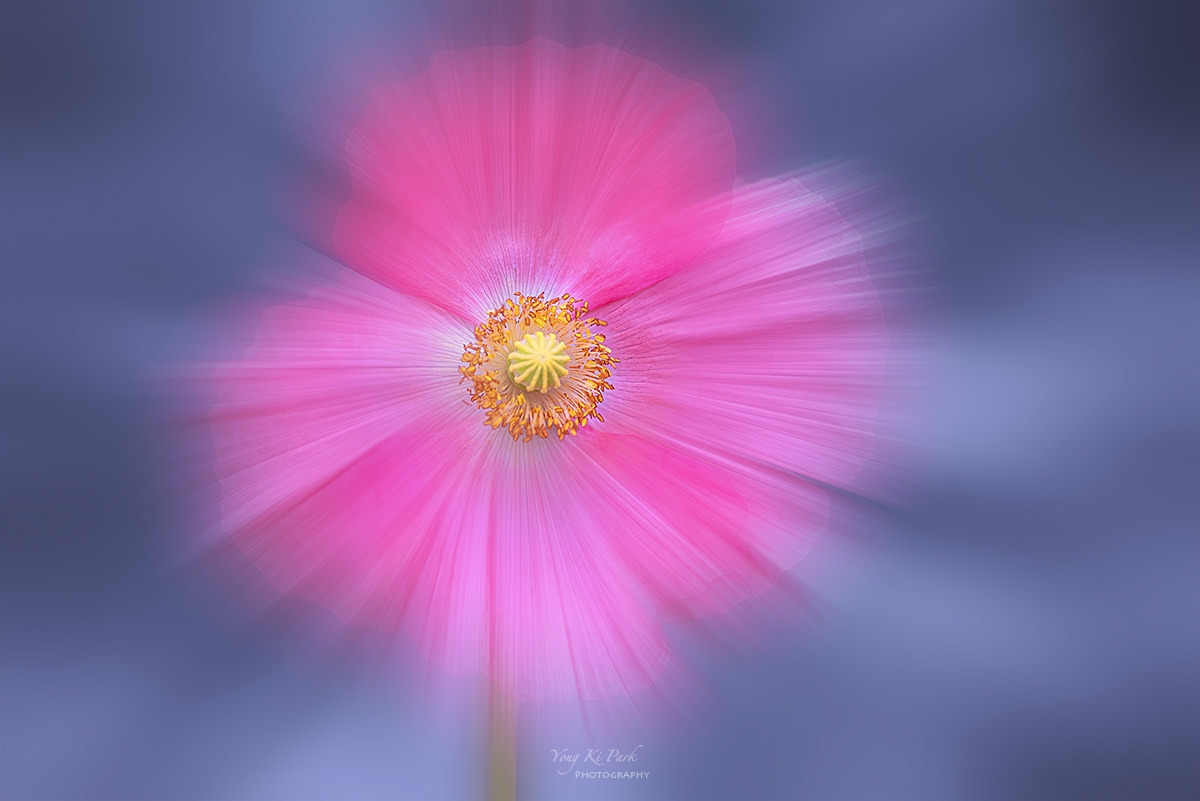 136_6232-35-st-m-s-Summer 2025-2.jpg