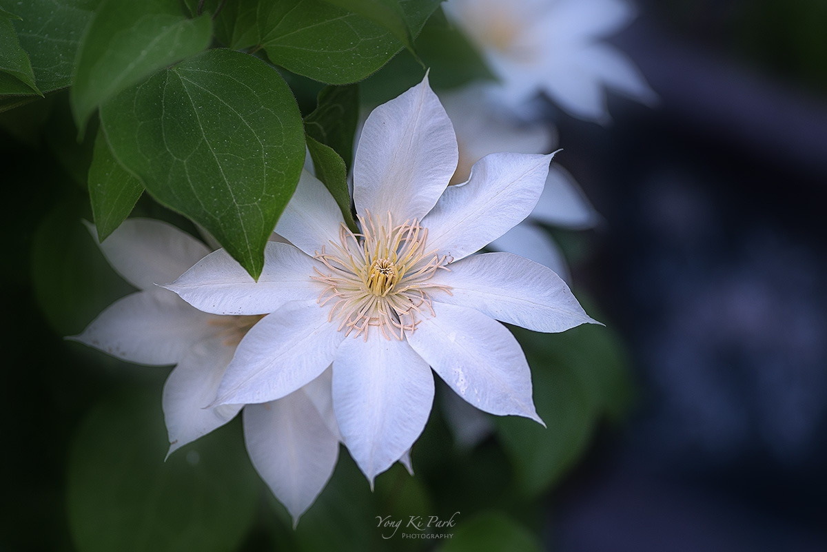 121_3034-s-Where my eyes stay-8.jpg