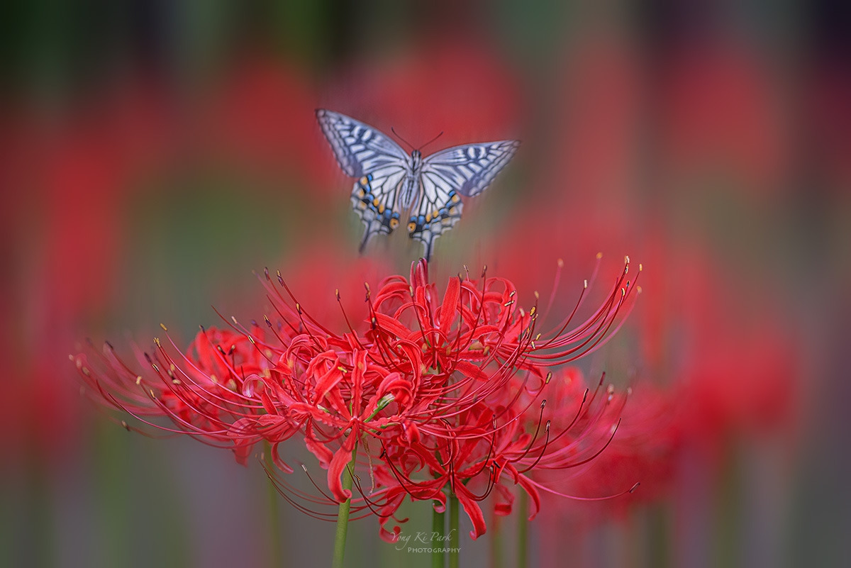 137_3161-F-m-s-Where the seasons meet-7.jpg