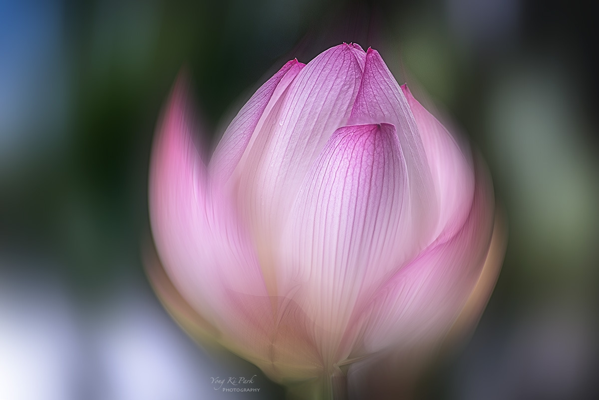 126_7755_57-st-c-m-s-2023 summer story-12-2.jpg