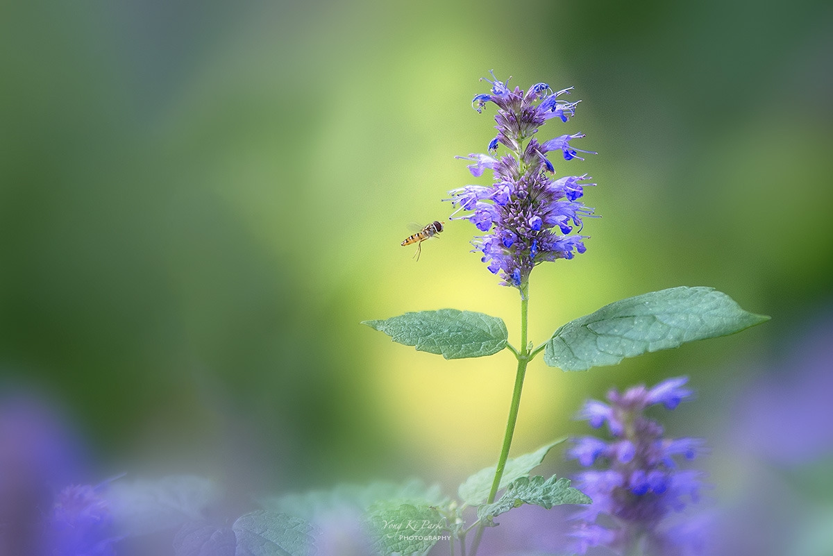 115_2995-2024 retouch-s-Feeling of autumn-9.jpg