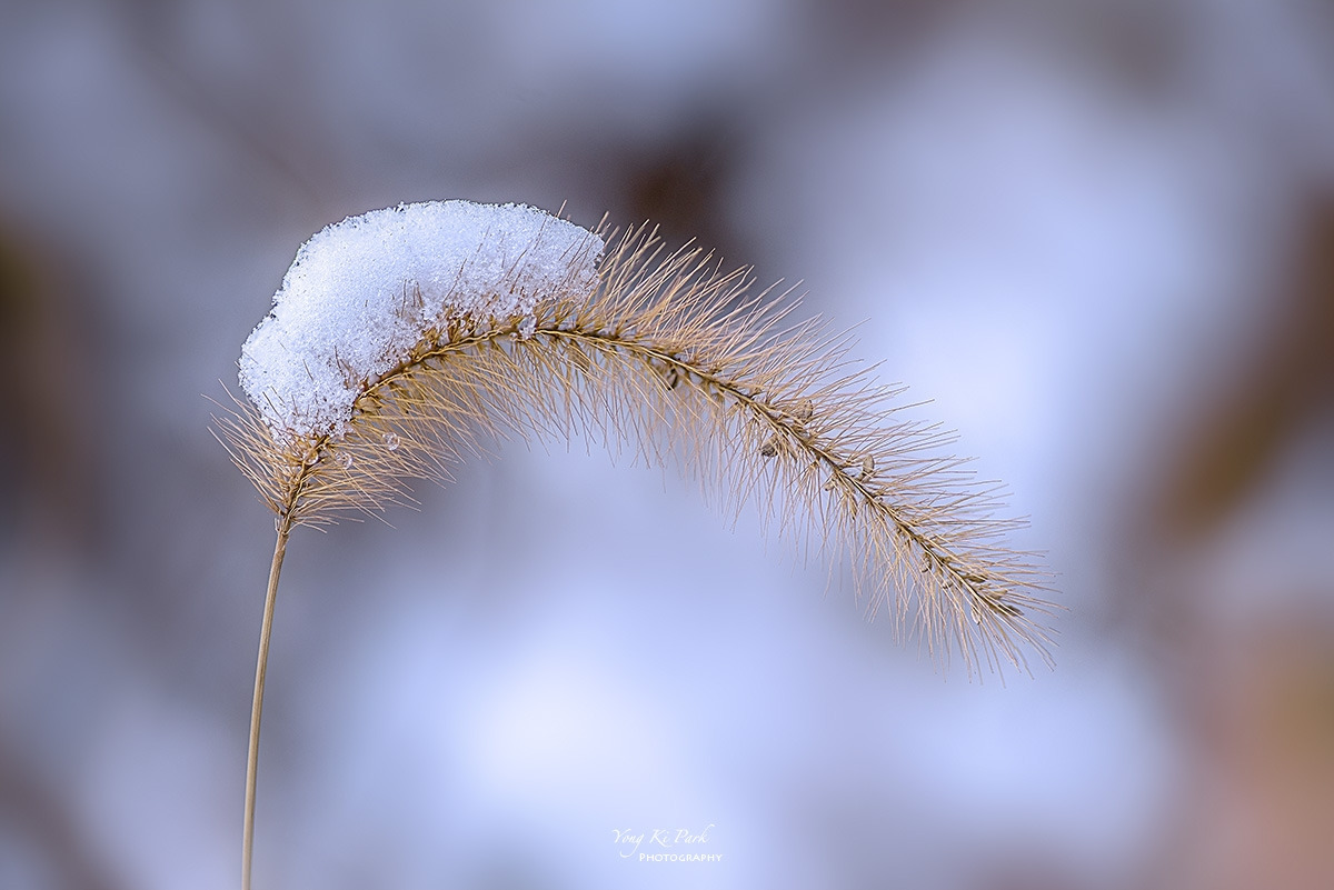 127_8852-55-st-s-First snow-2023-3-1.jpg