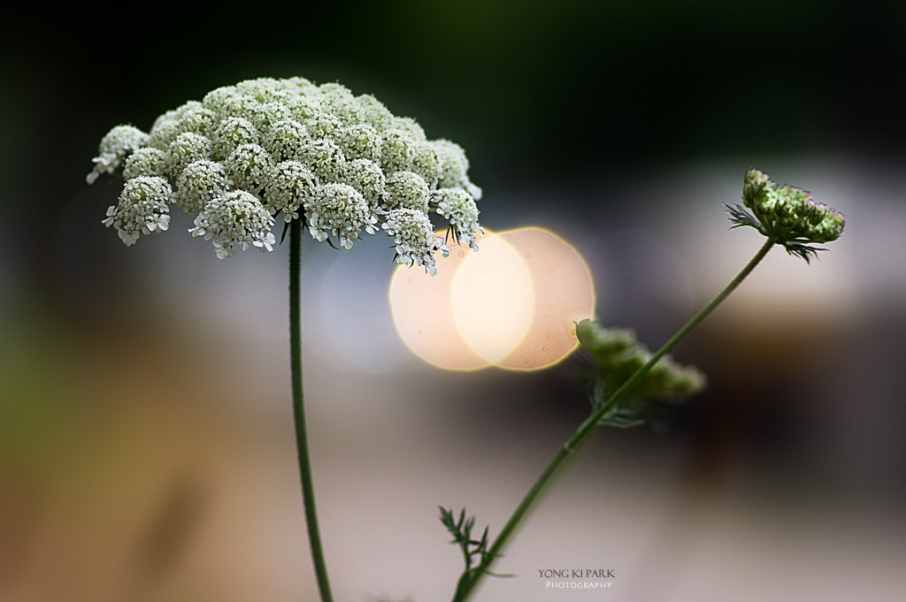 306_5001-s-At the street of Paris-1.jpg