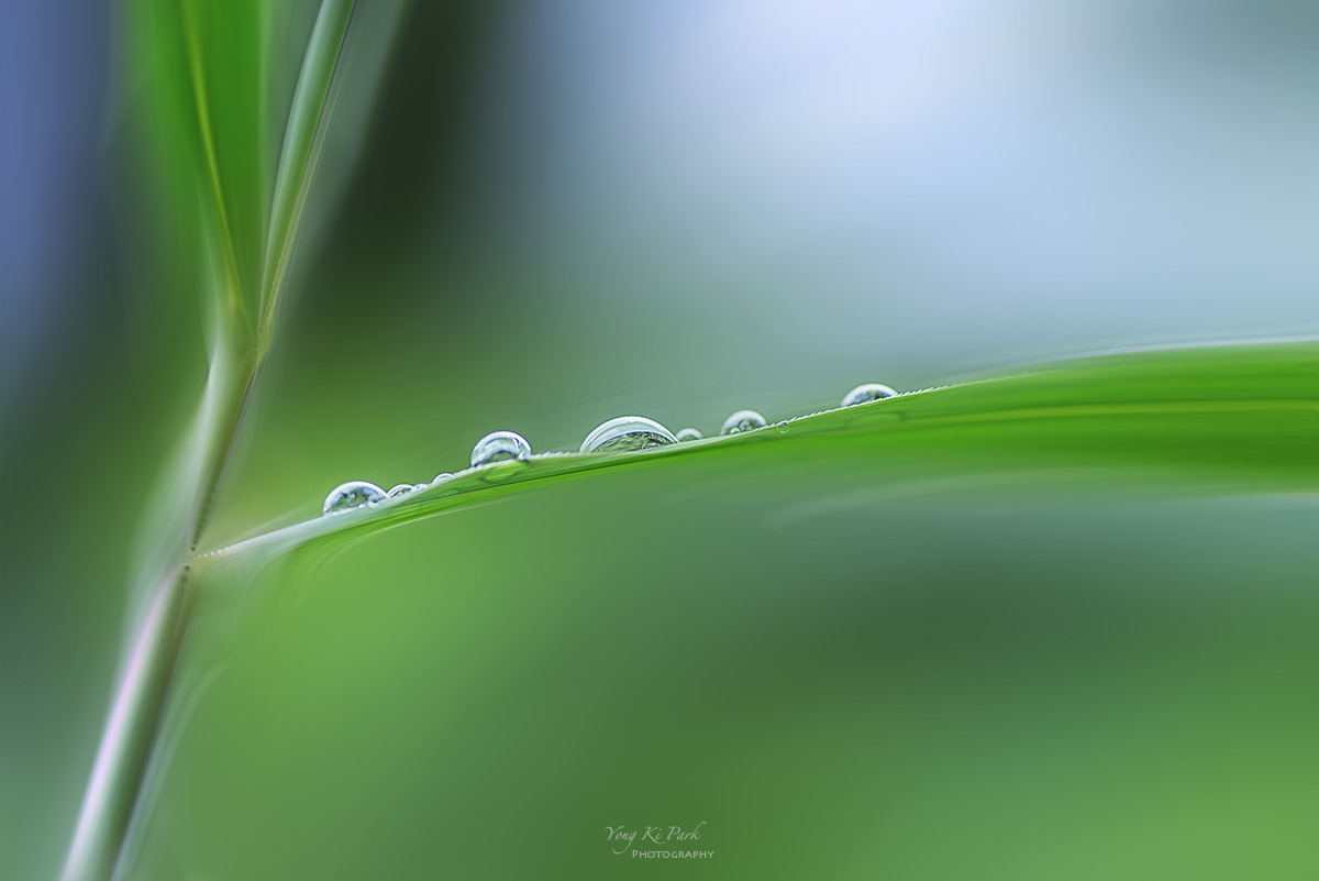 126_6876-F-m-s-2023 summer story-6.jpg