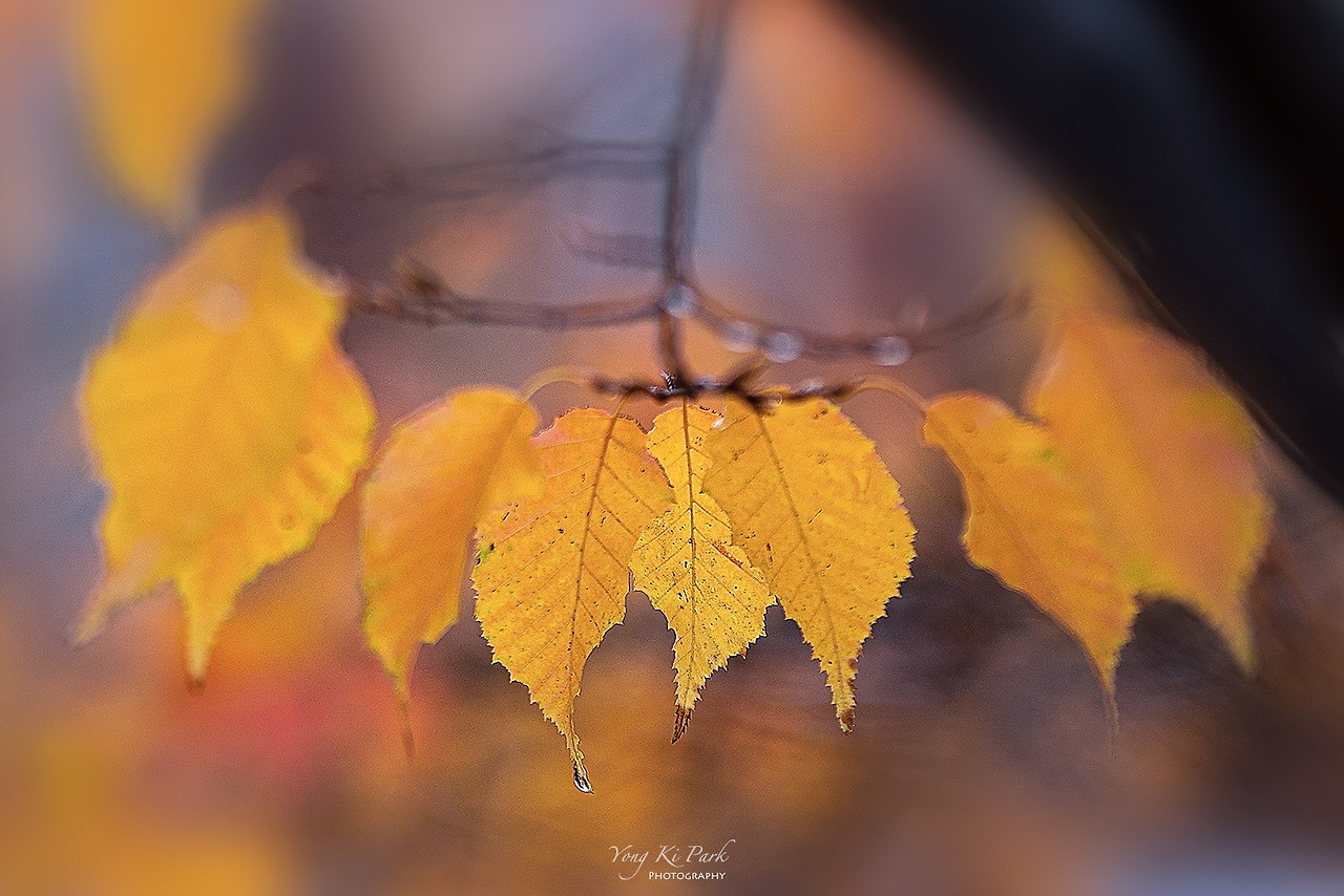 120_0856-c-s-Autumn 2021-5.jpg