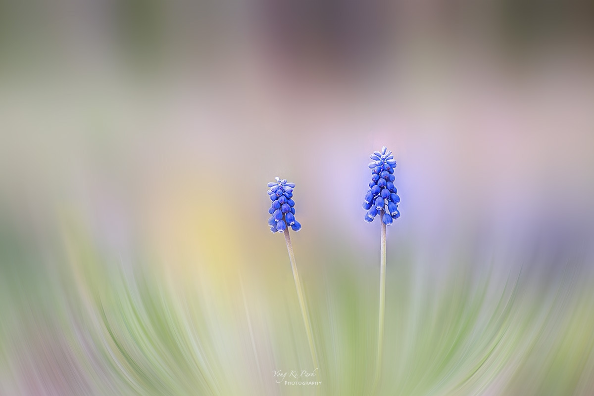 129_5068-72-st-m-s-Spring dream-2024-7.jpg