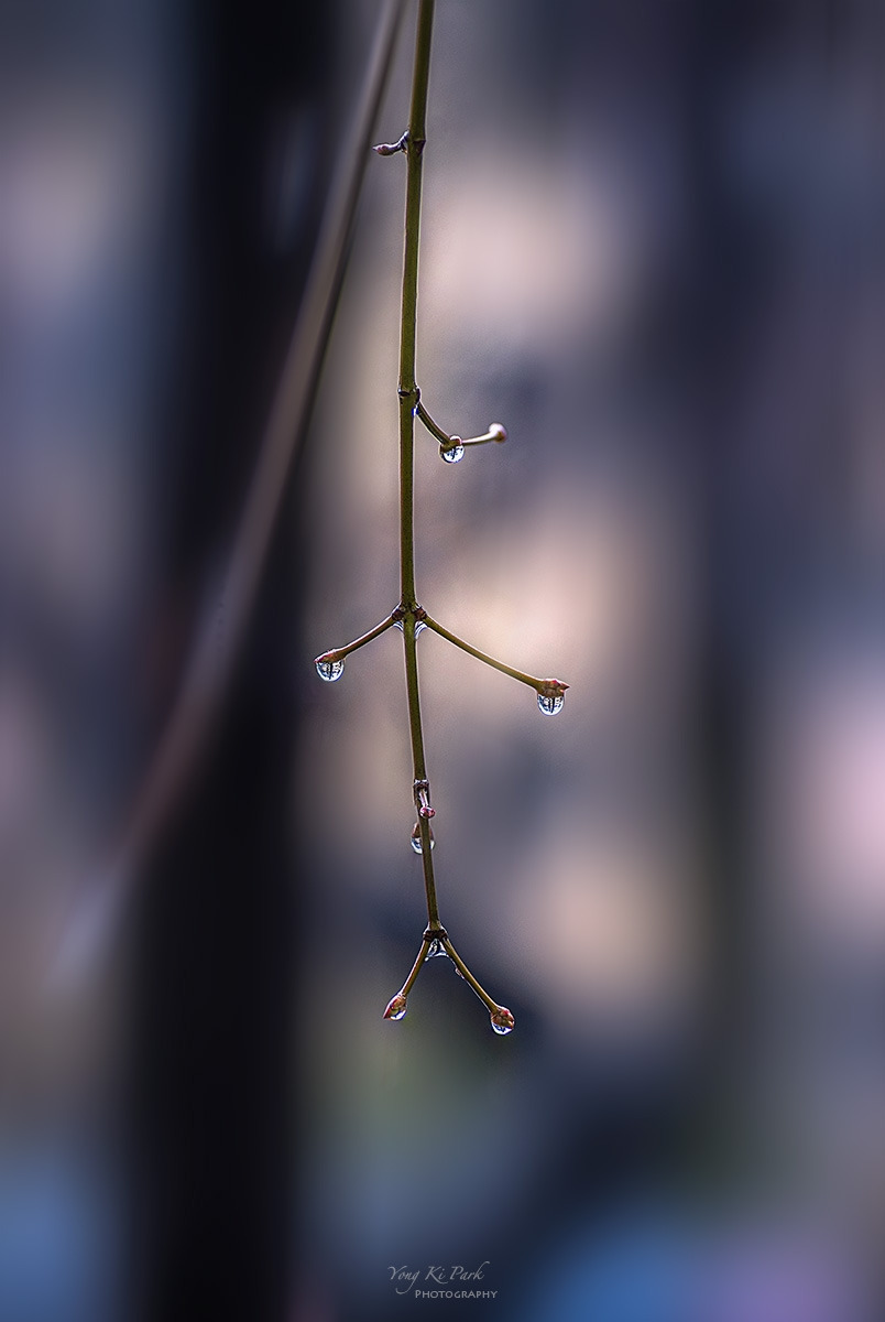 128_3577-79-st-s-Winter rain-2024-4.jpg