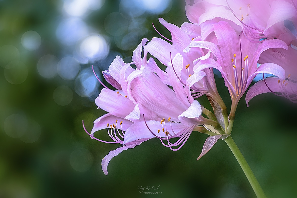 131_8254-58-st-s-Already September-7.jpg