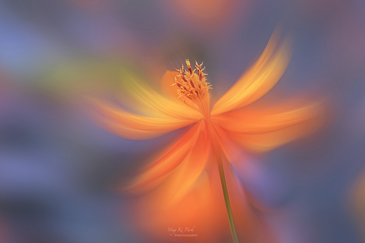 127_6988-90-st-m-s-Touch of autumn-17.jpg