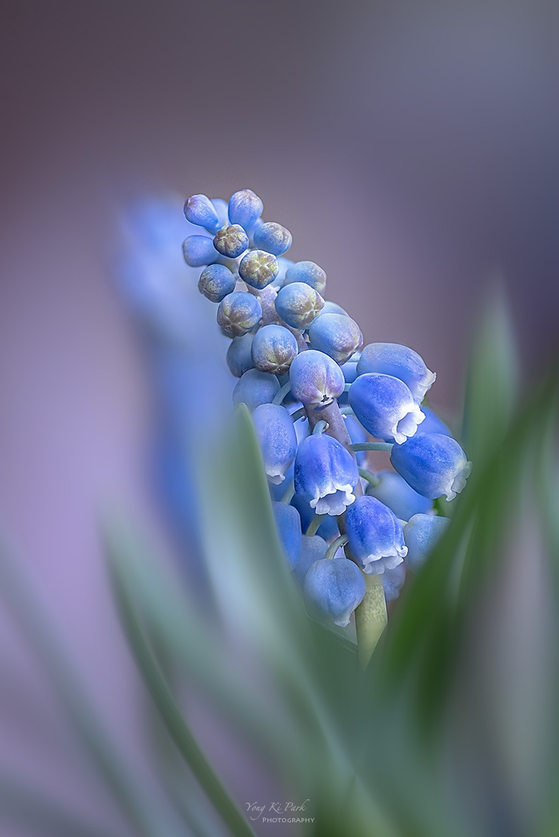 134_0941-48-st-s-Spring that came to me-9.jpg