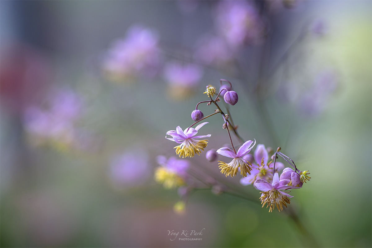 121_8410-18-st-s-Made in nature-7.jpg