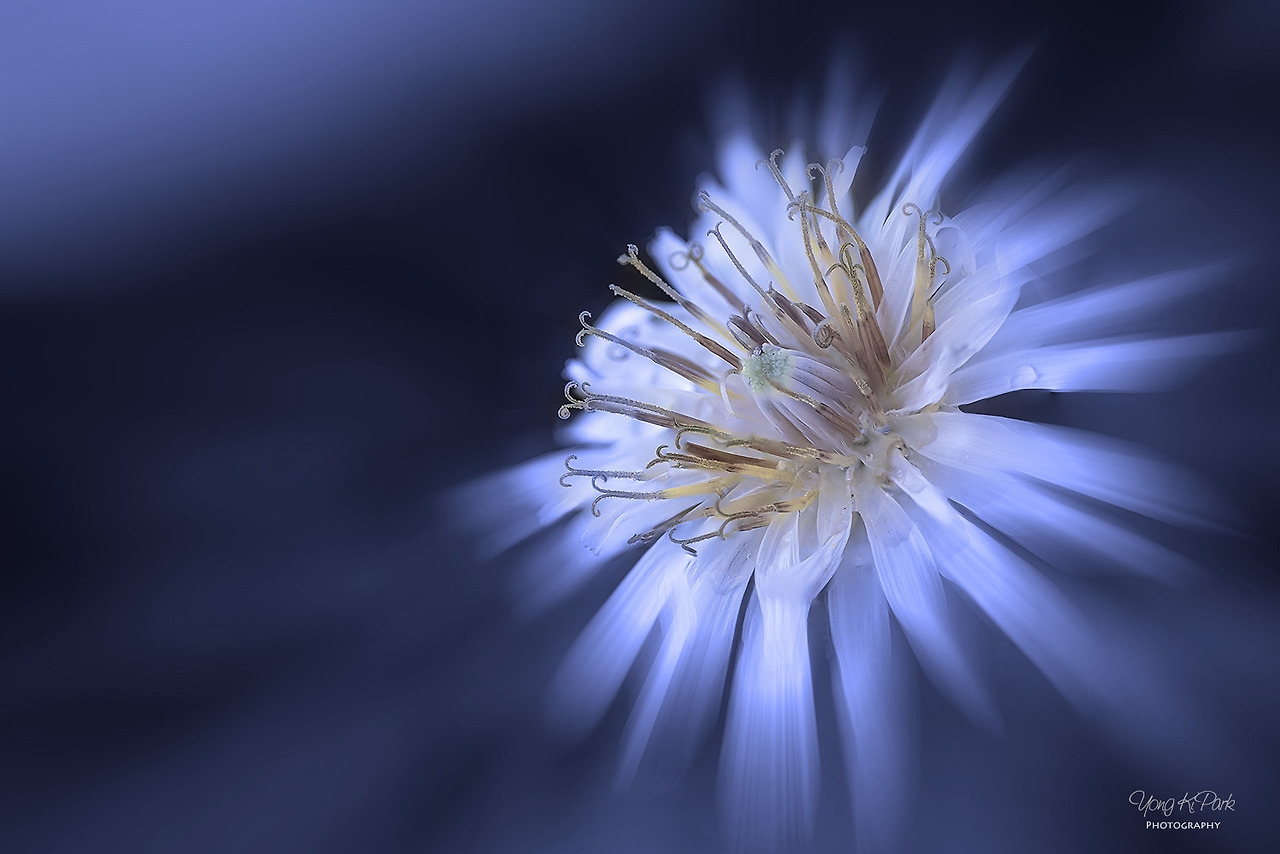 116_5504-14-st-m-2-s-Spring is there-10.jpg