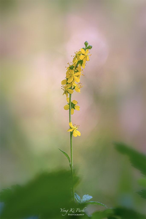 119_6308_12-st-s-Poem of September-8.jpg