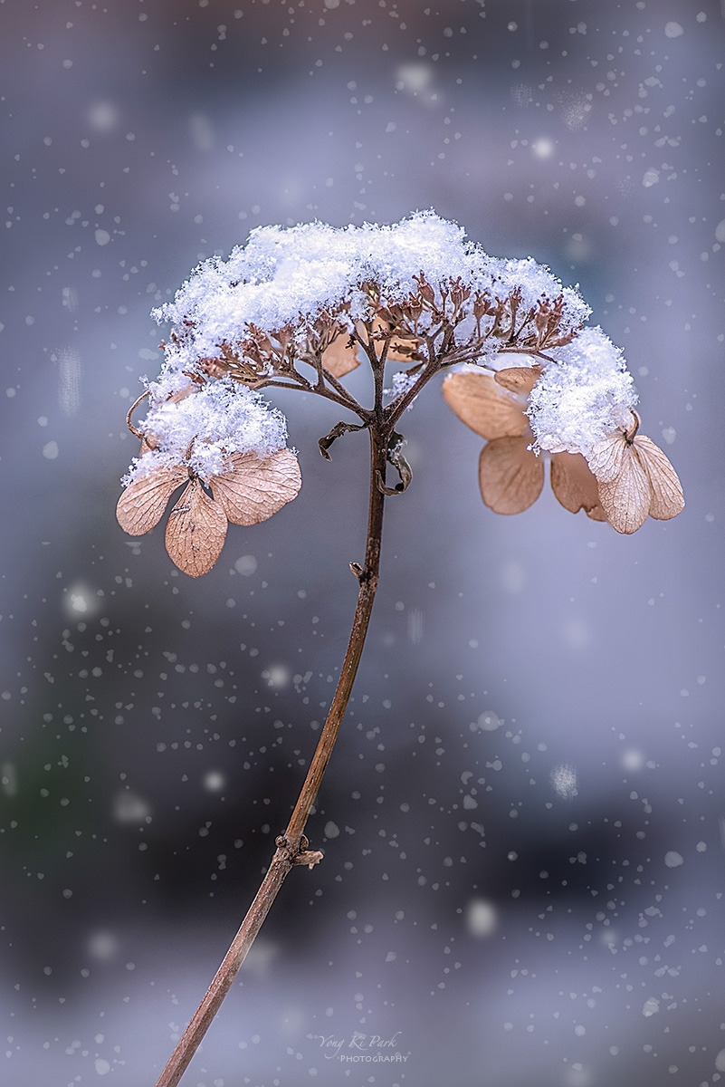 128_3049-53-st-s-Winter morning-12.jpg