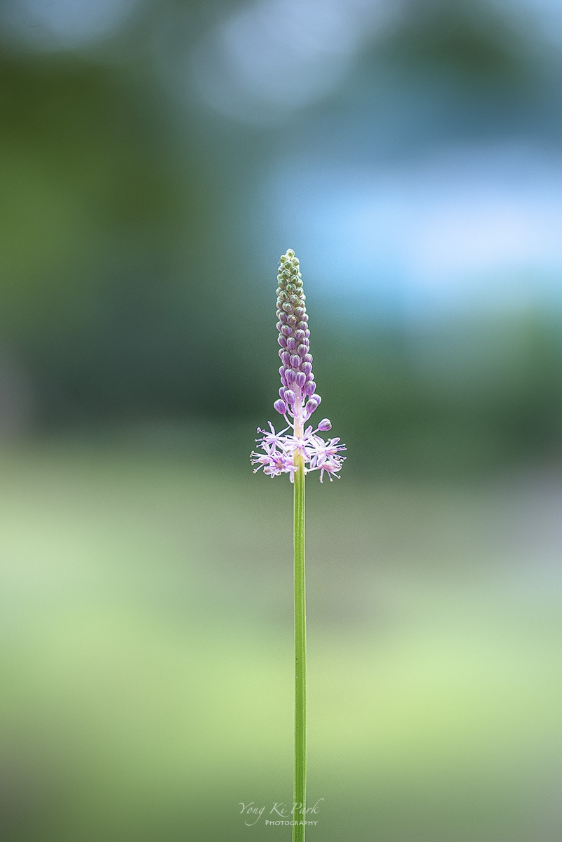 122_1443-s-Made in nature-24.jpg