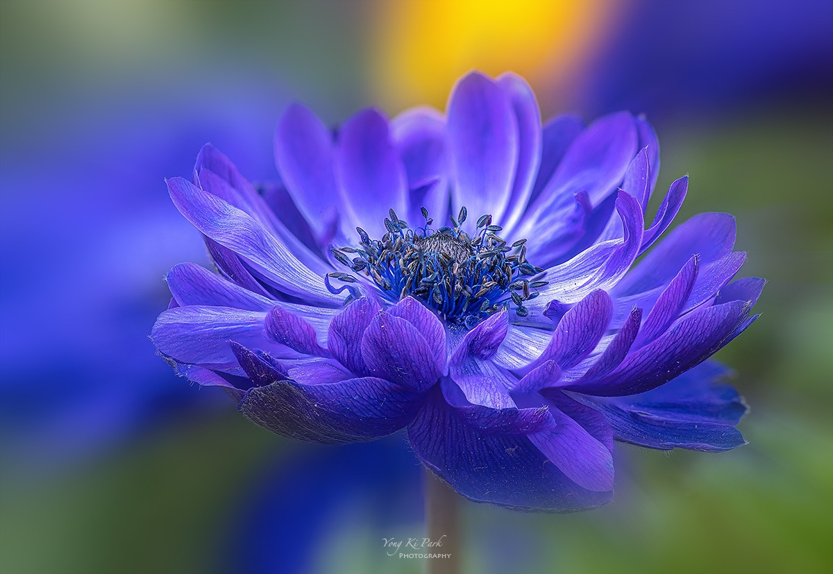 124_4259-70-st-m-s-Spring again-19.jpg