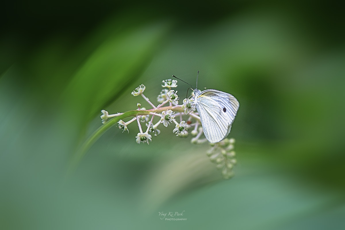 126_4225-F-c-m-s2023 summer story-19.jpg