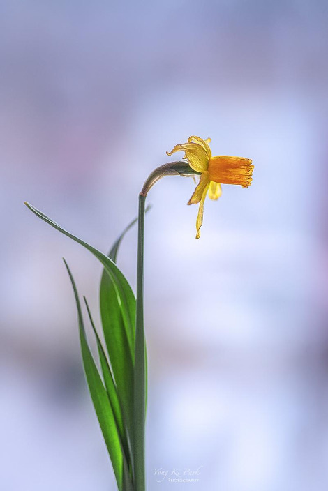 120_9046-s-At spring-14.jpg