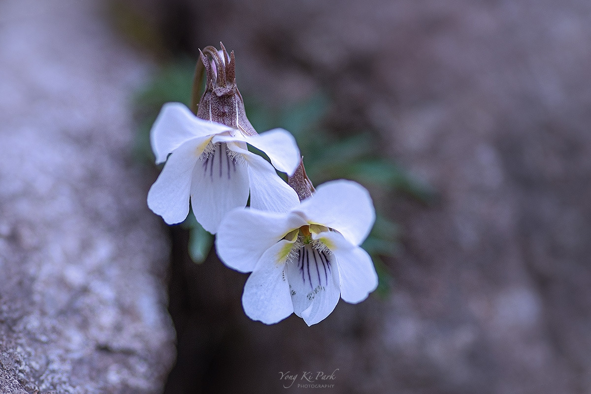 121_0488-s-At spring-23.jpg