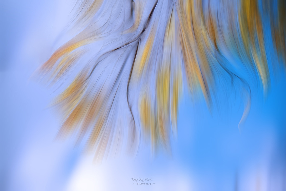 127_6264-F-m-1-s-Touch of autumn-19.jpg