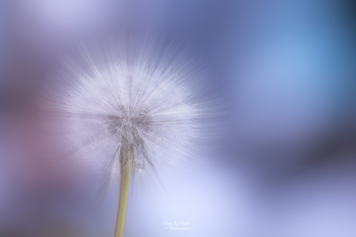 129_1985-90-st-c-m-s-A moment of spring-2024-1-2.jpg