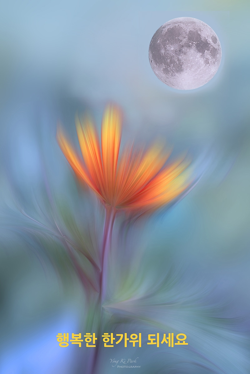 126_9773-80-st-m-추석카드 2023-s.jpg