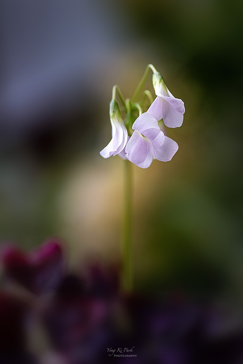 128_7053-57-st-s-Waiting for spring-2025-18.jpg