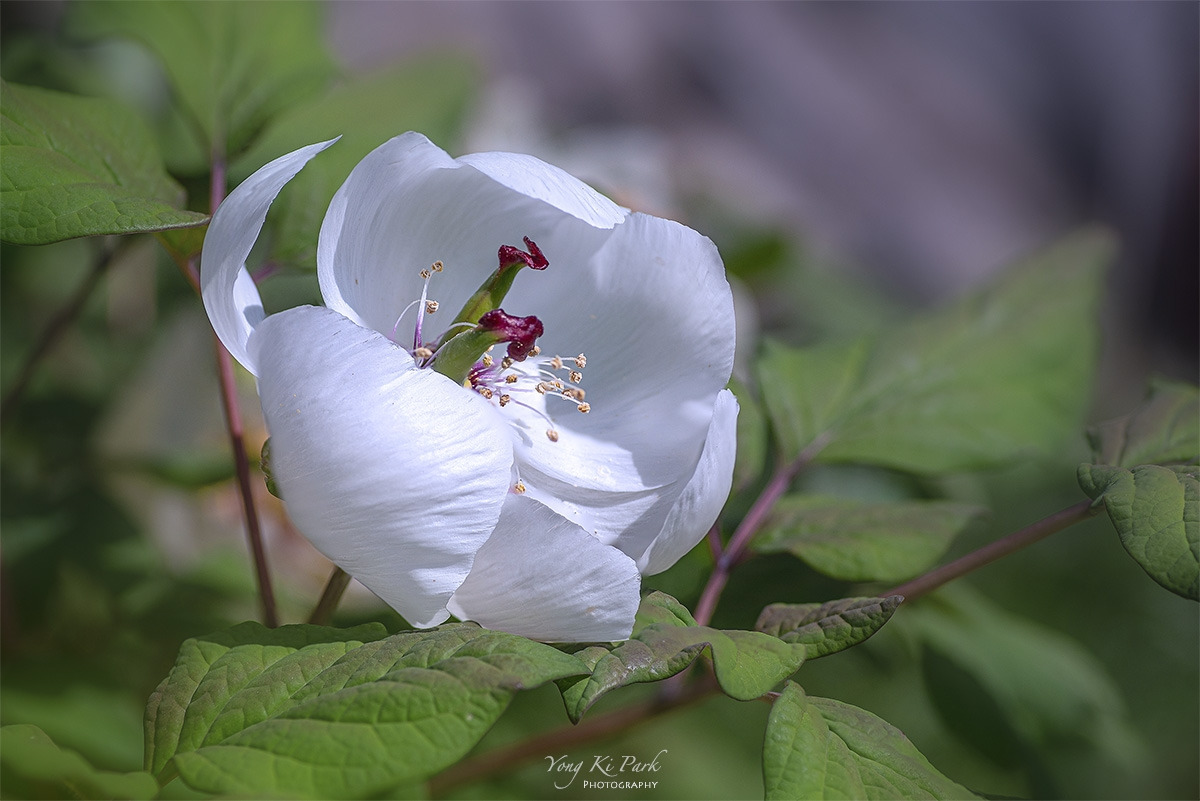 121_1351-53-st-s-Where my eyes stay-4.jpg