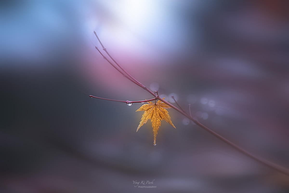 128_3846-F-m-s-Rain in February-3.jpg