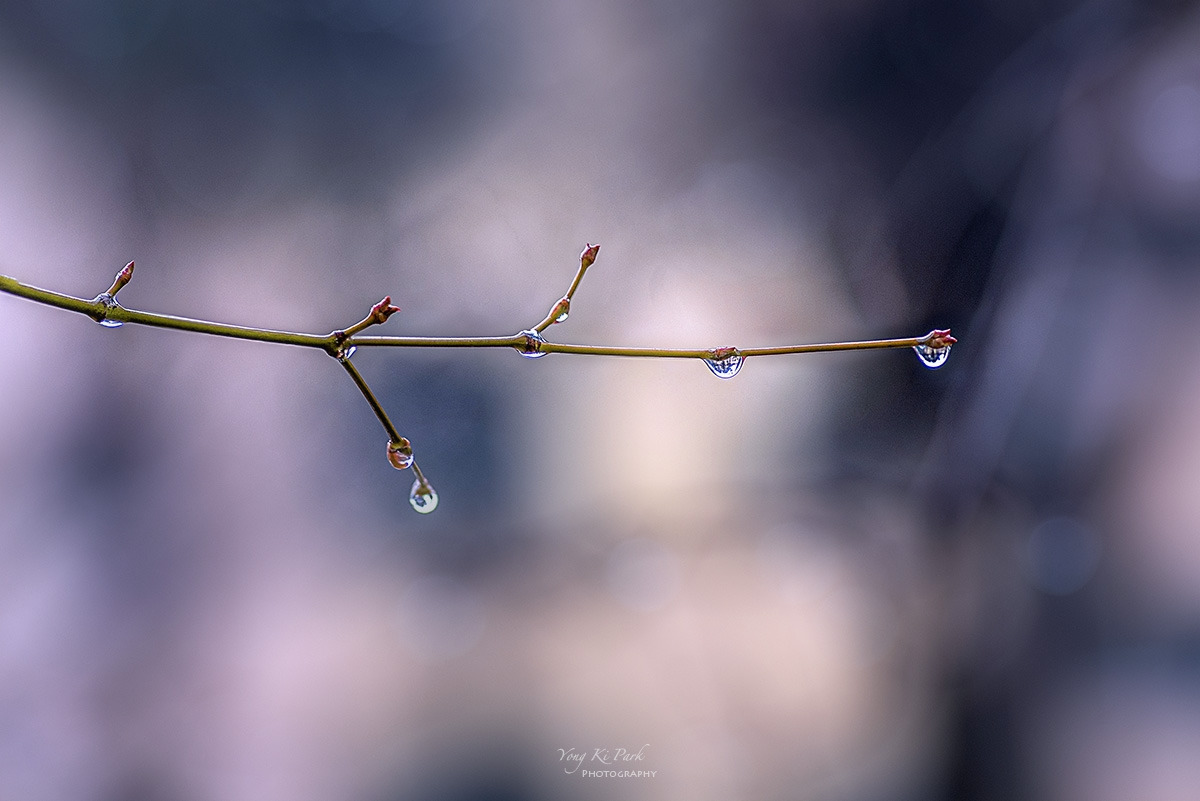 128_3547-53-st-s-Winter rain-2024-2.jpg