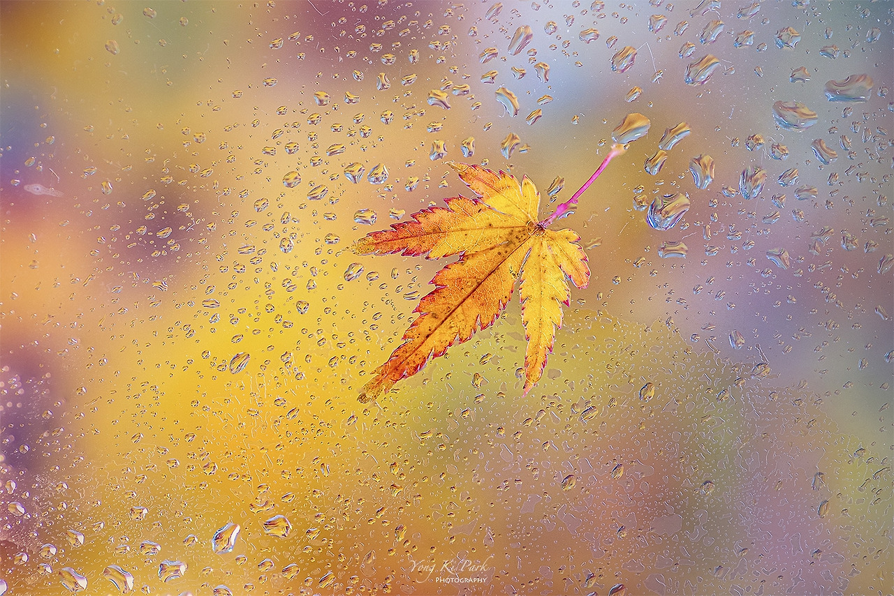 120_0581-85-st-s-Autumn 2021-1.jpg