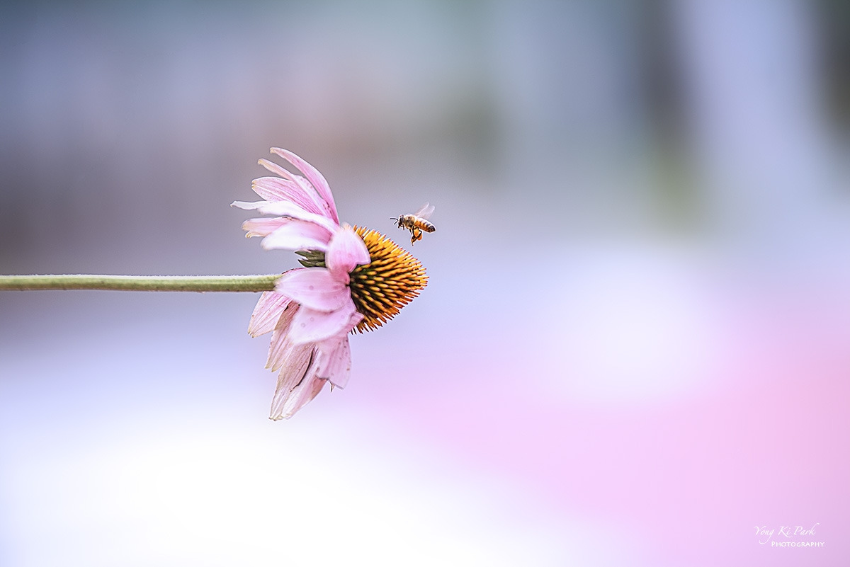 126_4433-F-s-2023 summer story-15.jpg