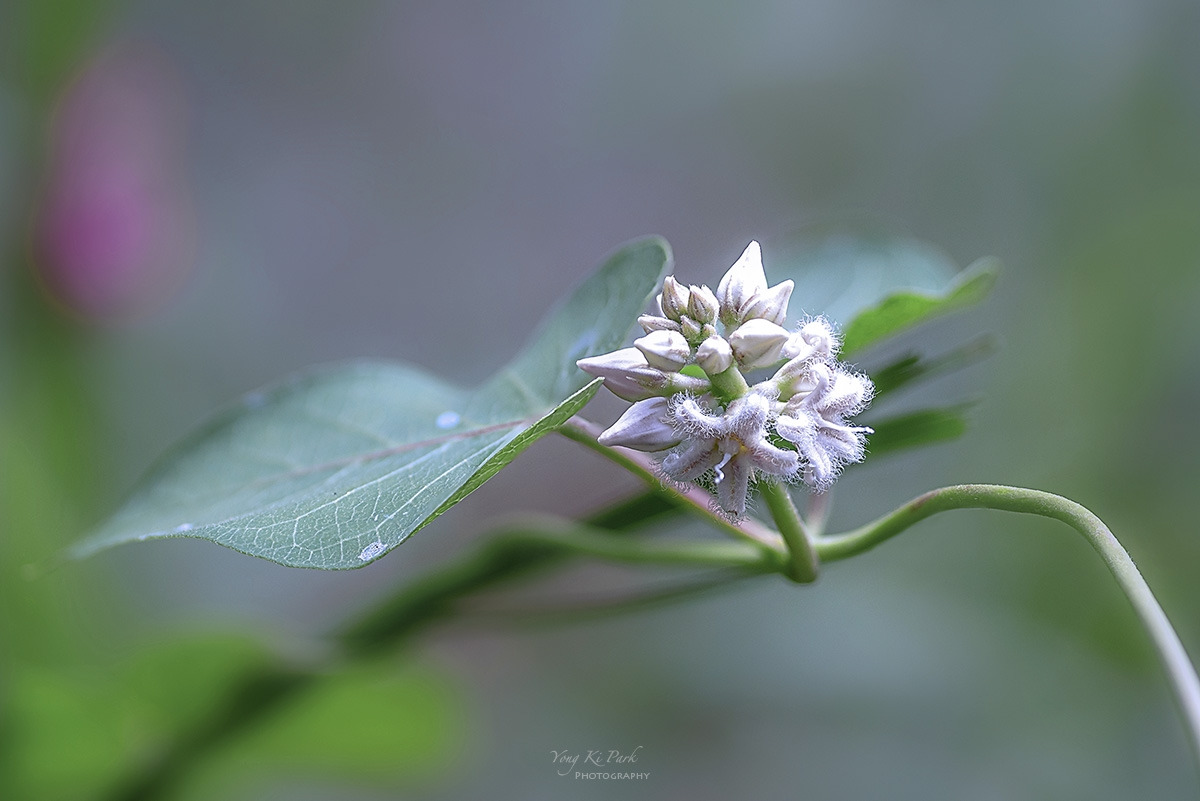 131_8724-30-st-s-Feelings of autumn-6.jpg